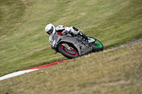 Middle Group Silver_Grey Bikes